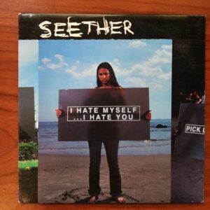 Seether - Disclaimer Sampler
