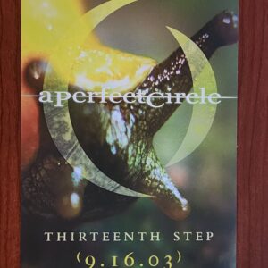 A Perfect Circle - Thirteenth Step